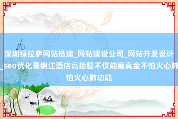深圳绿拉萨网站搭建_网站建设公司_网站开发设计搭建_seo优化景锦江酒店高抬腿不仅能磨真金不怕火心肺功能