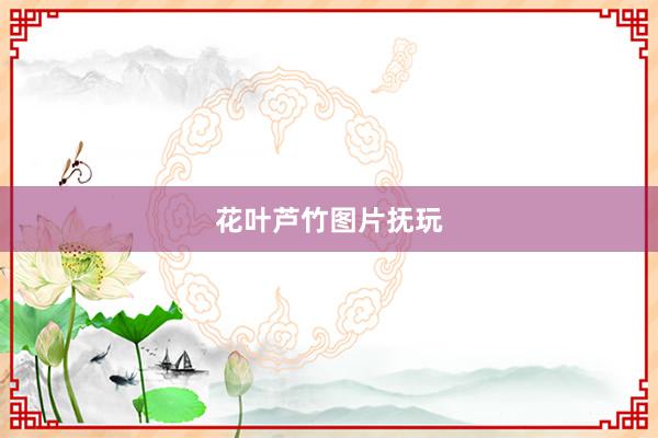 花叶芦竹图片抚玩