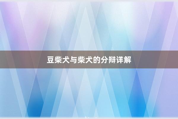 豆柴犬与柴犬的分辩详解